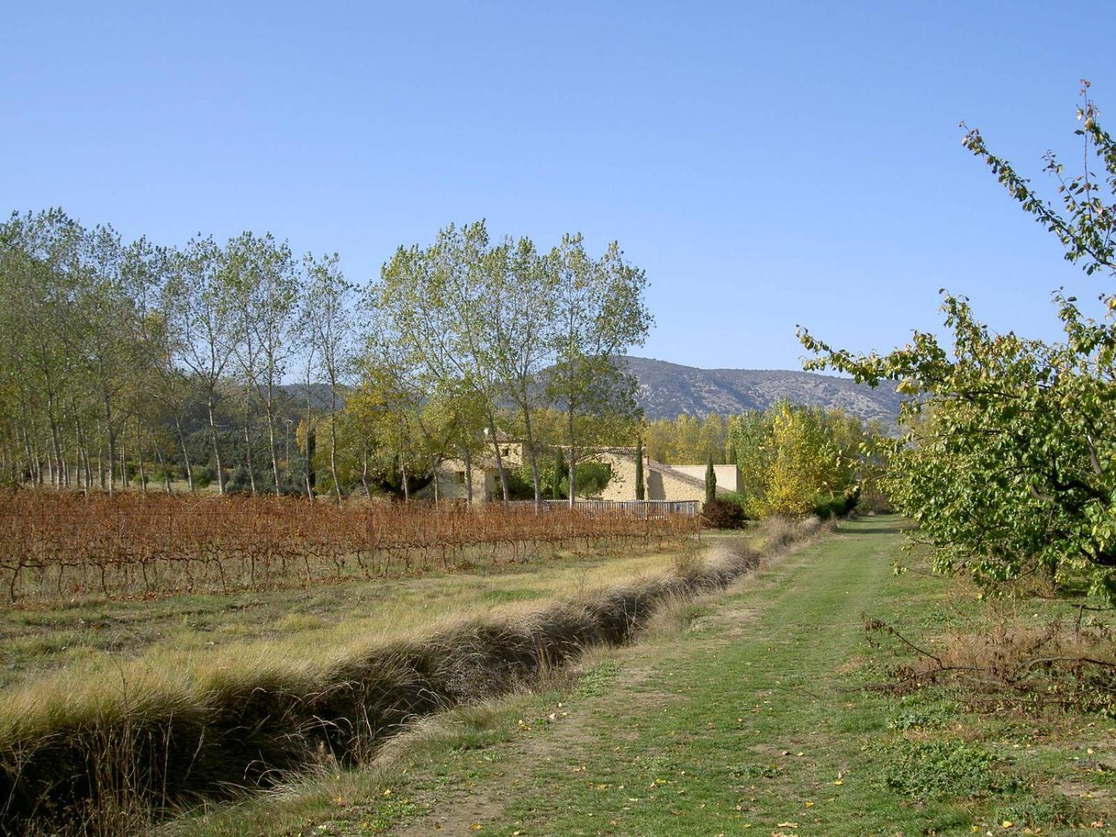 Gite Aux Tournesols Malaucène Exterior foto